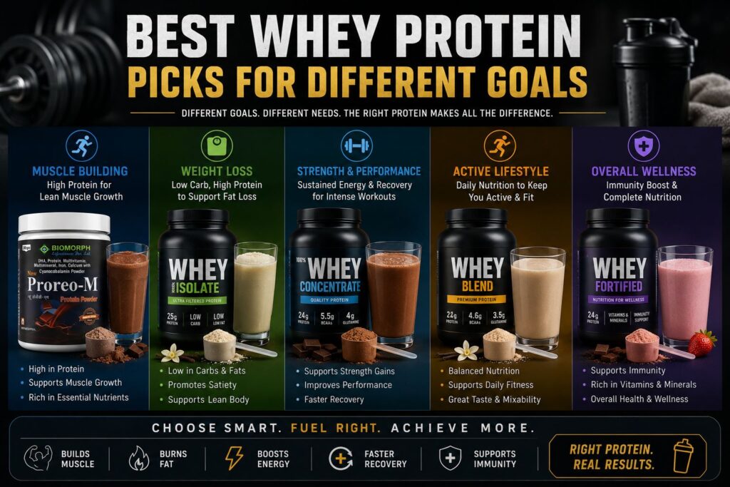 Best Whey Protein Picks for Different Goals