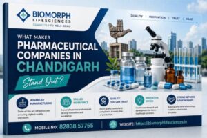 Medicine Manufacturing Company: 5 Key Growth Factors