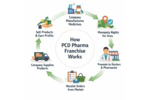 Understand How a Pharma Franchise Business Works