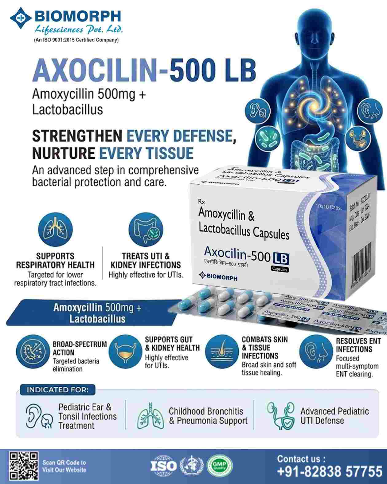 Amoxyxillin & Laxtobacillus Capsules