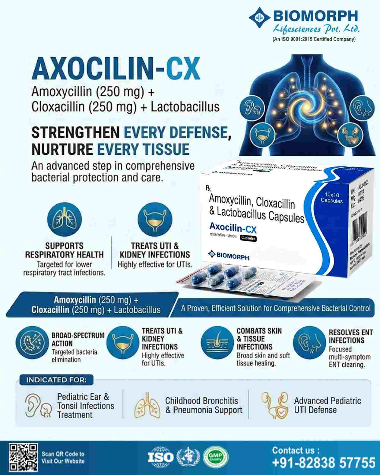 amoxycillin cloxacillin
